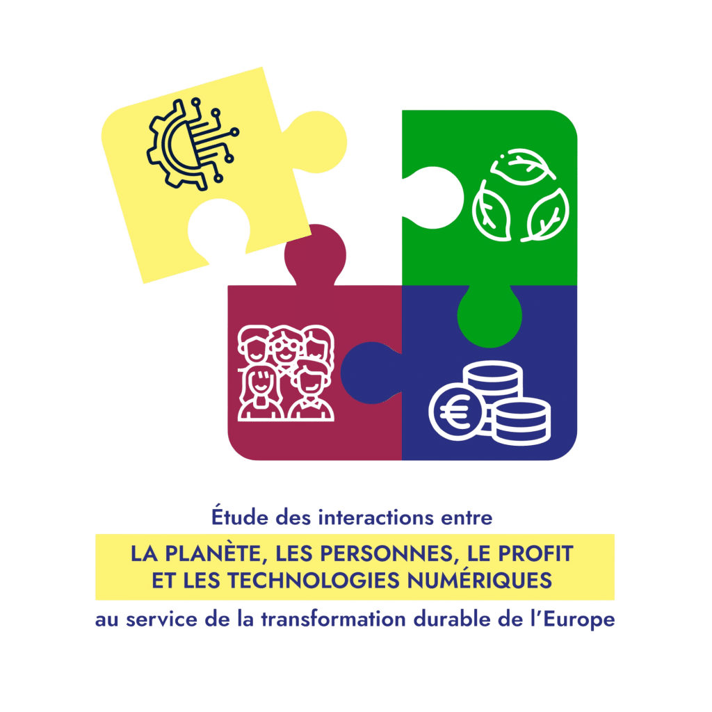 french puzzle visual