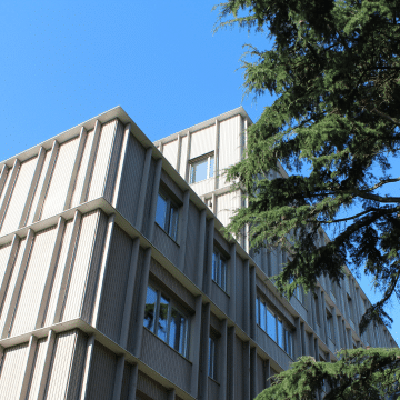jean monnet transformeu (1)
